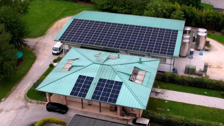 TERRE DI SAN VENANZIO FORTUNATO SRL